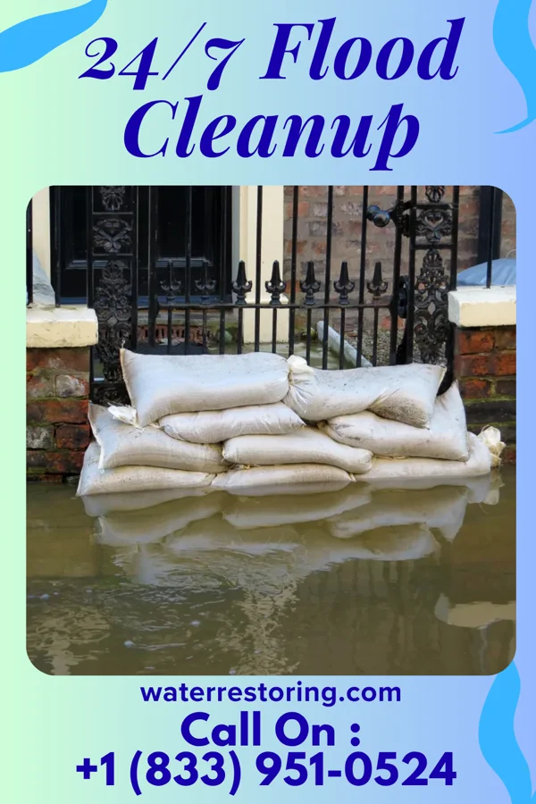 24/7 Flood Cleanup in Martin, TN