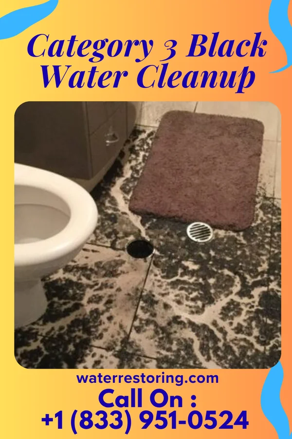 Category 3 Black Water Cleanup in Martin, TN