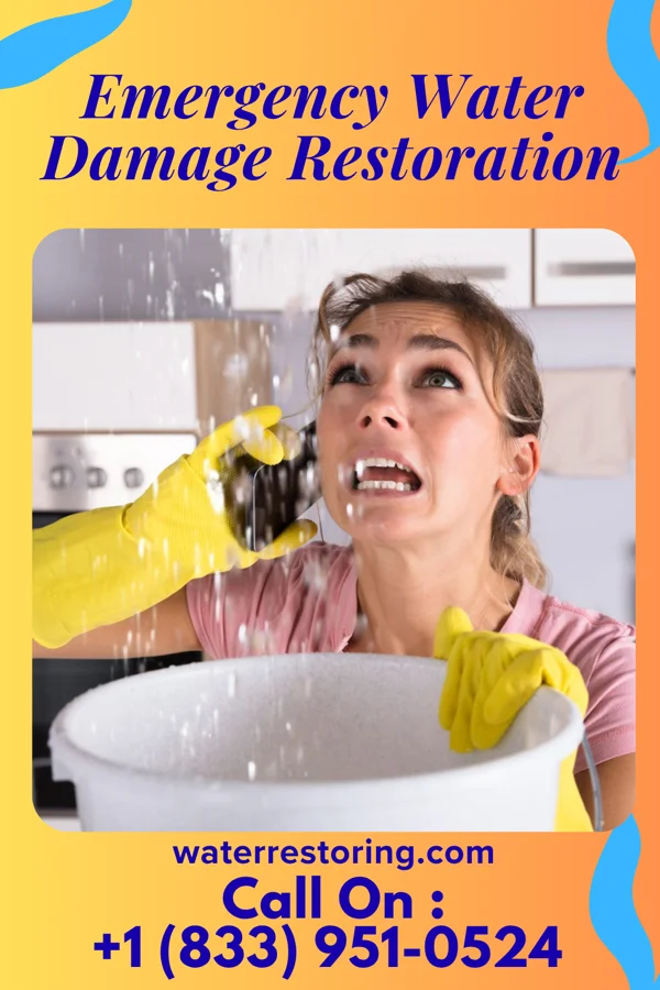 Emergency Water Damage Restoration in Martin, TN