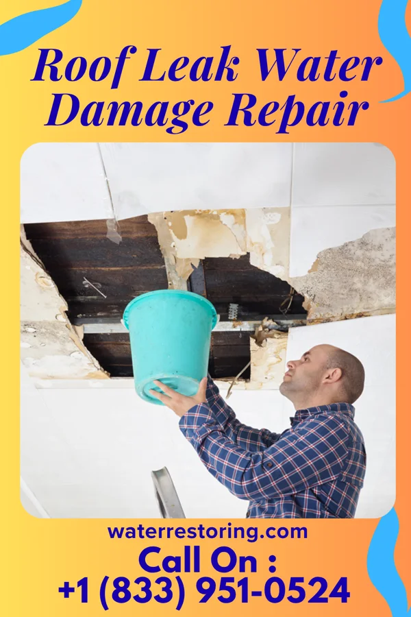 Roof Leak Water Damage Repair in Martin, TN