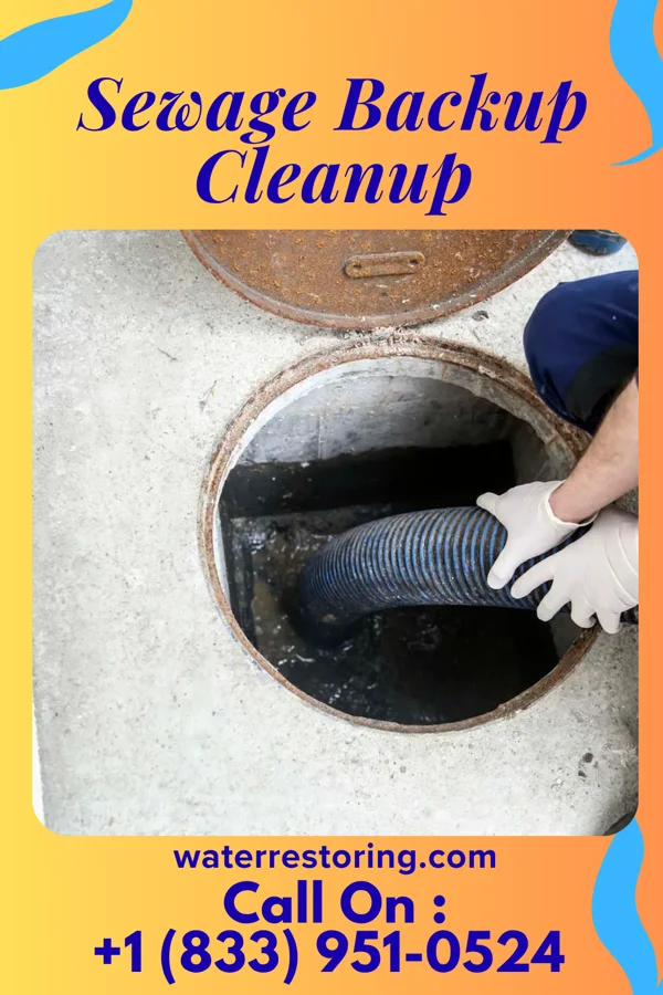 Sewage Backup Cleanup in Martin, TN