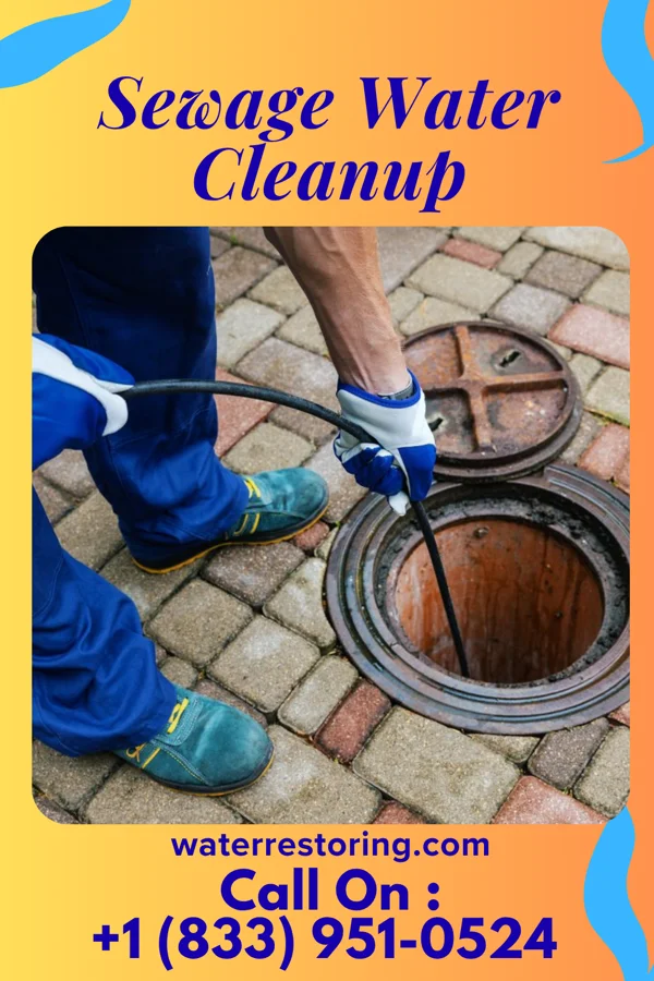 Sewage Water Cleanup in Martin, TN