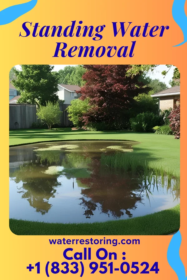 Standing Water Removal in Martin, TN